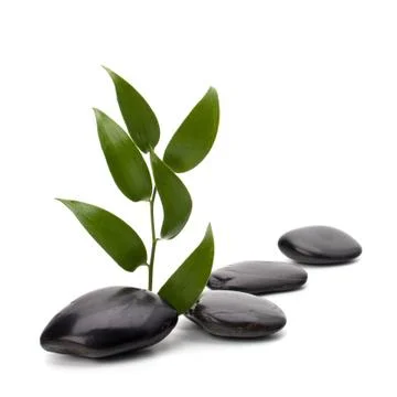 Tranquil scene Stock Photos