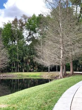 Tranquil scene of pond in park Stock Photos
