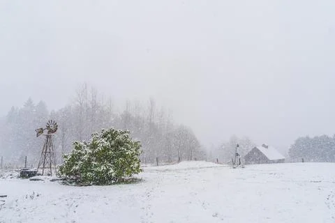 Tranquil scene of snow falling on wind mill and rhododendron wide Stock Photos