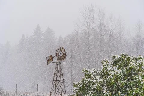 Tranquil scene of snow falling on wind mill and rhododendron 写真素材