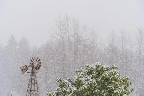 Tranquil scene of snow falling on wind mill and rhododendron 写真素材