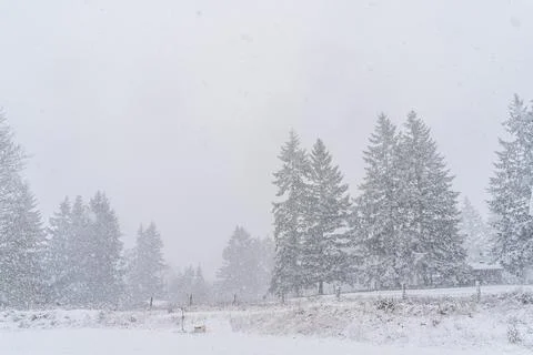 Tranquil scene of snow falling in wintertime on edge of field Stock Photos