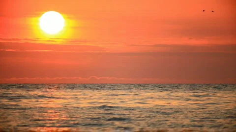 Tranquil scene of a sunset on the background of the sea. Past several birds fly Stock Footage