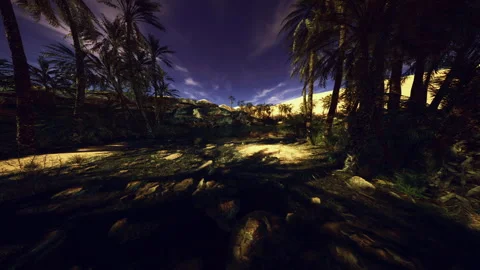 Tranquil scene under moonlight showcasing spectral trees and shimmering stars Stock Footage 339624403