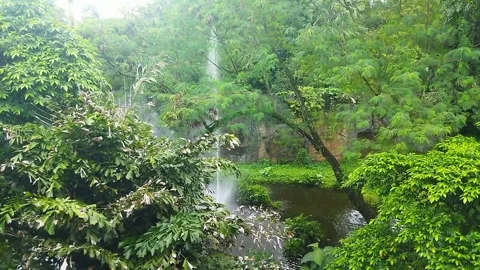 A tranquil scene of a waterfall cascading gently through a dense, vibrant tropic Stock Footage 307295596