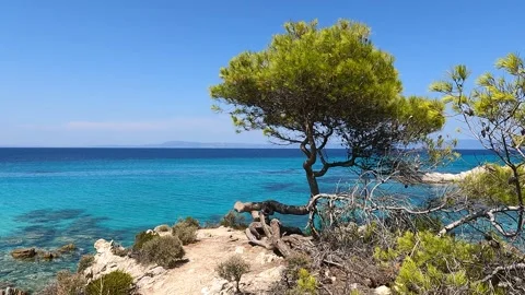 Tranquil scenery of Mega Portokali beach, Sithonia, Greece Stock Footage 305492930