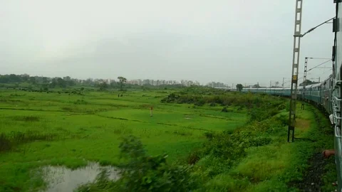 Tranquil Scenic greenery View from fast moving Indian train window, Mumbai India Stock Footage 99171252