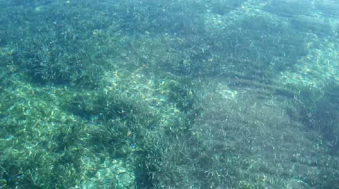 Tranquil Sea 库存影片 915338