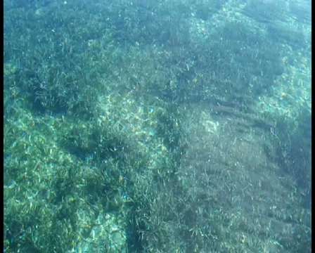 Tranquil Sea 库存影片 924464