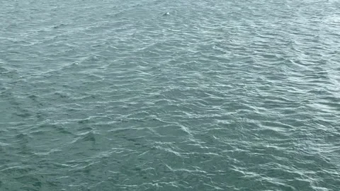 Tranquil sea waves at Graal-Mritz, Germany: a serene natural waterscape. Stock Footage 311465102