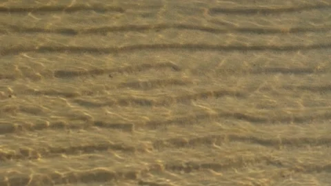 Tranquil seascape with abstract aquatic pattern. Stock Footage 314811899