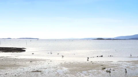 Tranquil seascape with beach at low tide Vídeos de archivo 105681239