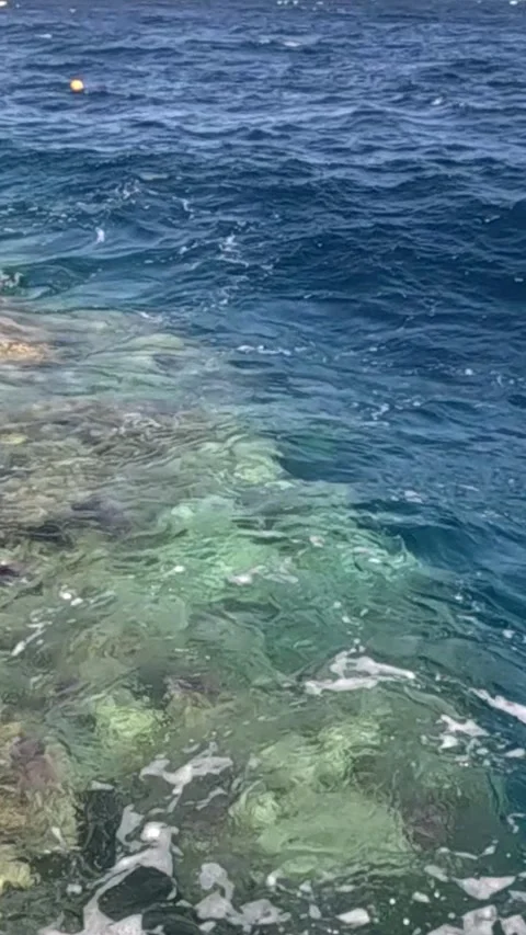 A Tranquil Seascape Depicting the Contrast Between Calm Waters and Gentle Waves Видео 330113292