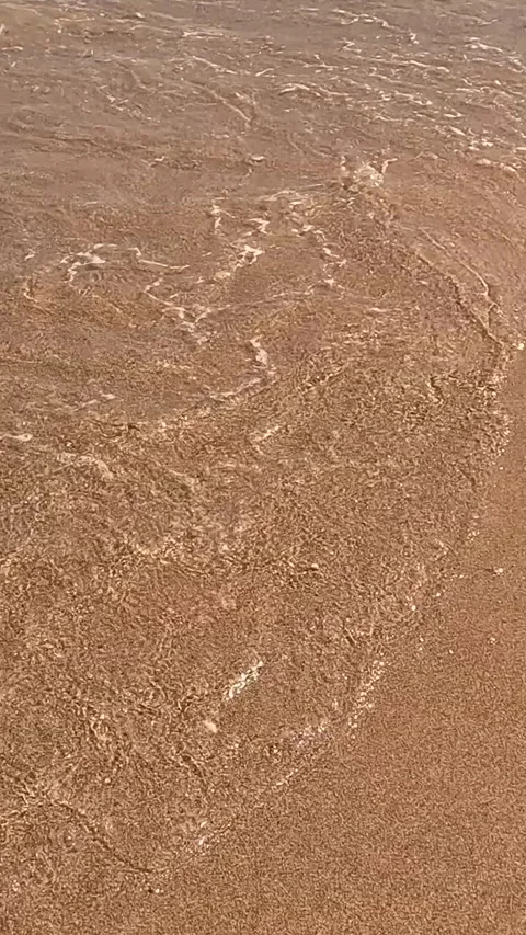 Tranquil Shoreline: A Serene Encapsulation of Wave-Caressed Sand and Glimmering Stock-Footage 331806901