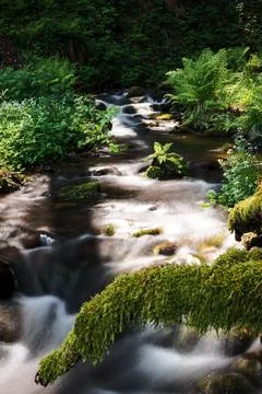 A tranquil small waterfall nestled within the heart of a lush forest Stock Photos