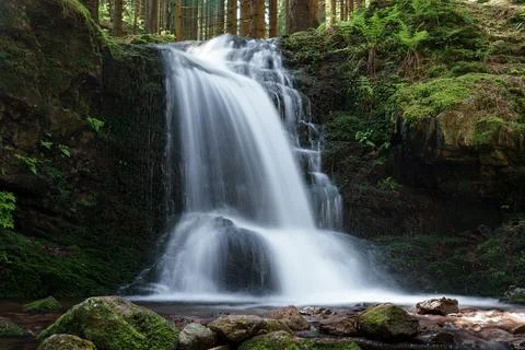 A tranquil small waterfall nestled within the heart of a lush forest Foto stock