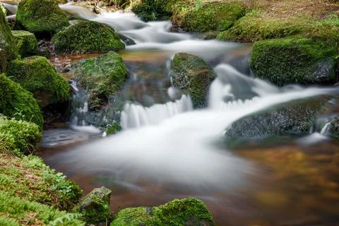A tranquil small waterfall nestled within the heart of a lush forest Stock Photos