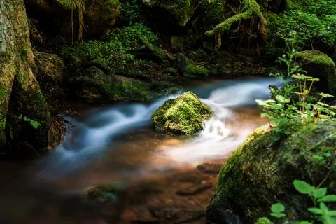 A tranquil small waterfall nestled within the heart of a lush forest Stock Photos