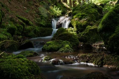 A tranquil small waterfall nestled within the heart of a lush forest Stock Photos