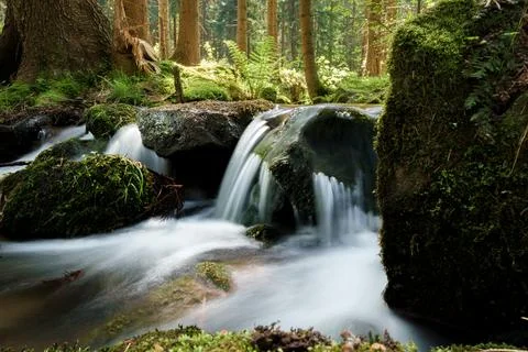 A tranquil small waterfall nestled within the heart of a lush forest Stock Photos