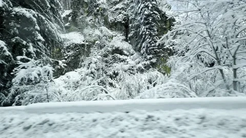 Tranquil Snow-Covered Forest Landscape. Heavy snow in Romania Transalpina DN67C Stock Footage 293469748