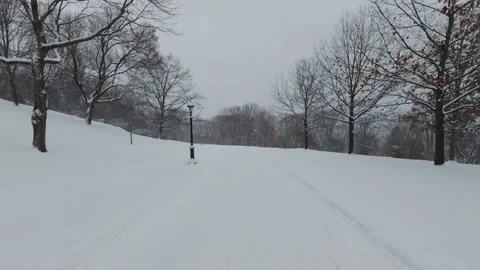 Tranquil Snow Covered Park Landscape Stock Footage 323423155