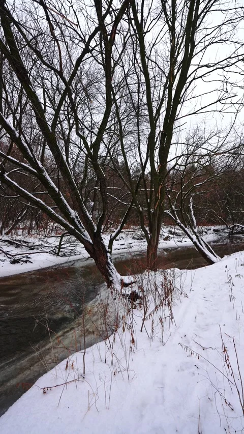 Tranquil Snowy Forest Along Flowing River in Courtice Ontario Canada Vídeo Stock 334548528