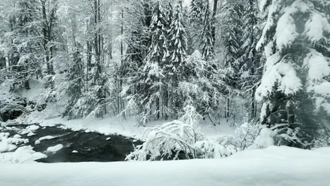 Tranquil Snowy Forest with Flowing Stream Stock Footage 294987853