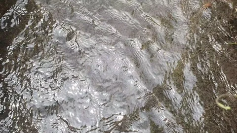Tranquil Sound of Small River Flow, Small Canal Irrigation Water Flowing Nicely Stock Footage 219031666