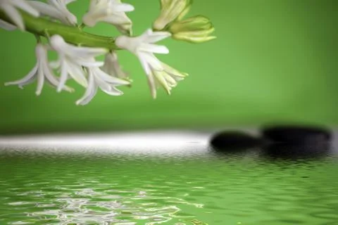 Tranquil spa background with spring flowers Foto stock