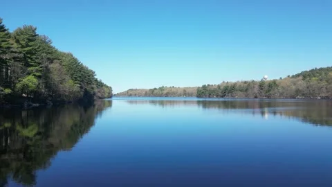 Tranquil Spring Morning by the Forest Lake Stock Footage 309782577