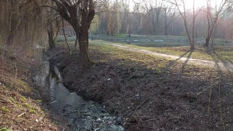 Tranquil Spring Stroll Along the Riverside Stock-Footage 305237689