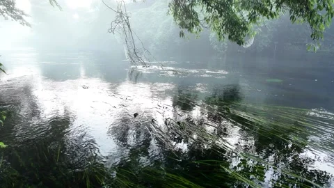 Tranquil spring water surface with reflections and rising mist Stock Footage 341175586