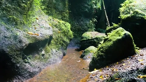 Tranquil stony Brook Gorge. Bali, Indonesia. Stock Footage 73786751