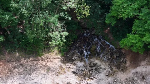 Tranquil Stream Cascading Through Lush Green Forest in Serene Daylight Hours Video stock 281327907