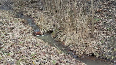 A tranquil stream is elegantly surrounded by vibrant autumn foliage that Stock Footage 322756370