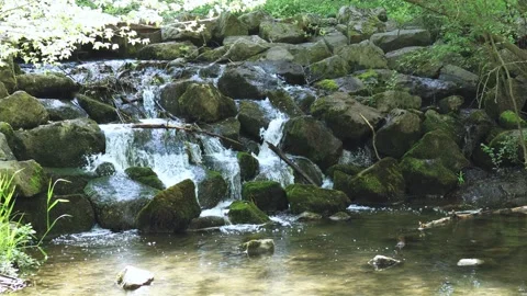 Tranquil stream flowing over moss-covered rocks in a serene forest setting Stock Footage 312253880