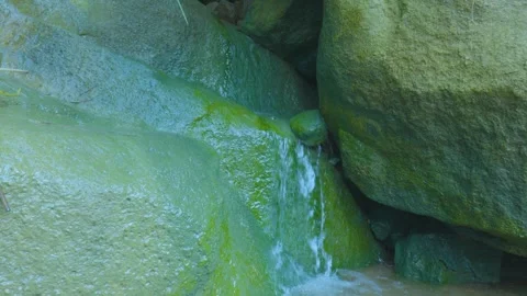 Tranquil Stream Flowing Over Mossy Rocks in a Hidden Grotto Stock Footage 280527620