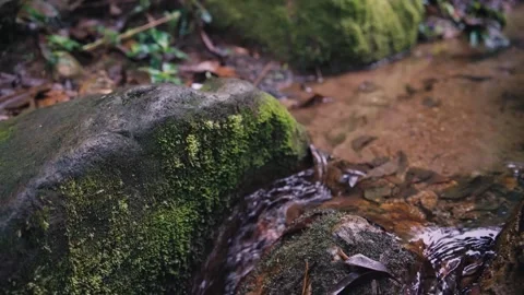 Tranquil Stream Flowing Over Mossy Rocks Video stock 303327832