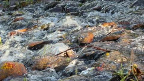 Tranquil Stream Flowing Over Smooth Rocks in Slow Motion Видео 297234009