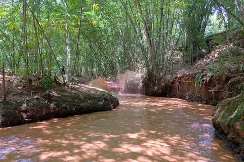 Tranquil Stream Flowing Through Lush Green Forest Stock Photos