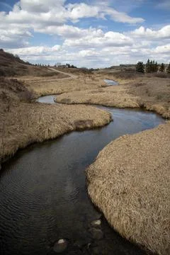 Tranquil Stream Flowing Through Tall Grass Stock Photos