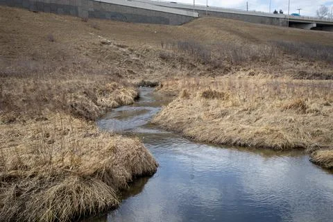 Tranquil Stream Flowing Through Tall Grass Stock Photos
