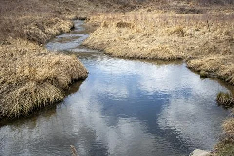 Tranquil Stream Flowing Through Tall Grass Stock Photos