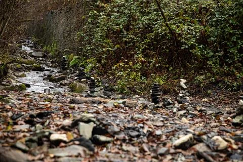A tranquil stream flows gently, surrounded by rocks and lush greenery, creating Stock Photos
