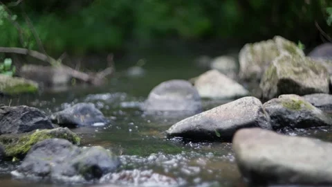 Tranquil stream flows over mossy rocks, creating a peaceful oasis in the Stock Footage 308822117
