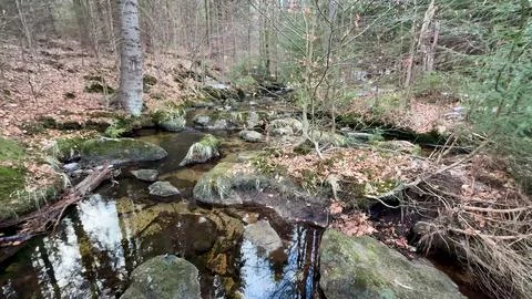 A tranquil stream flows through a beautiful forested landscape with rocks a.. Stock Photos
