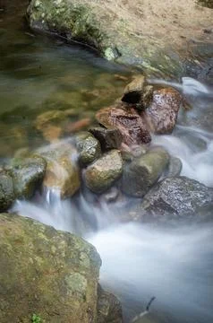 A tranquil stream flows through a dense forest, cascading over smooth boulder Stock Photos