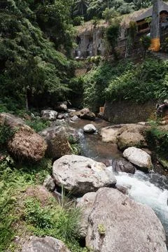 Tranquil Stream in a Lush Forest Setting Stock Photos