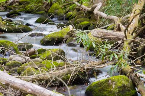 Tranquil Stream in the Smokies Stock Photos